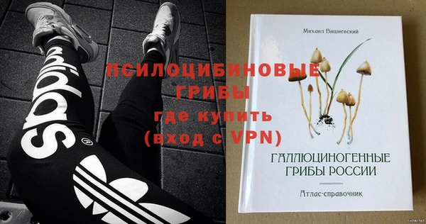 мдпв Нязепетровск