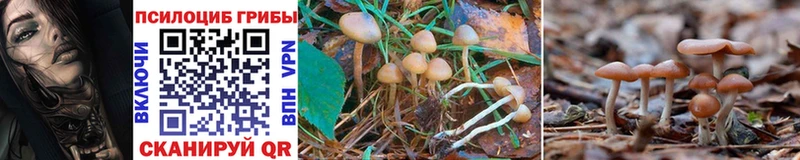 Галлюциногенные грибы Magic Shrooms  цены наркотик  Казань 